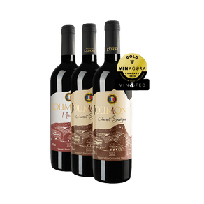 1-merlot-e-2-cabernet-com-medalha