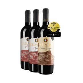 2-merlot-e-um-cabernet-com-medalha 2-merlot-e-um-cabernet-com-medalha