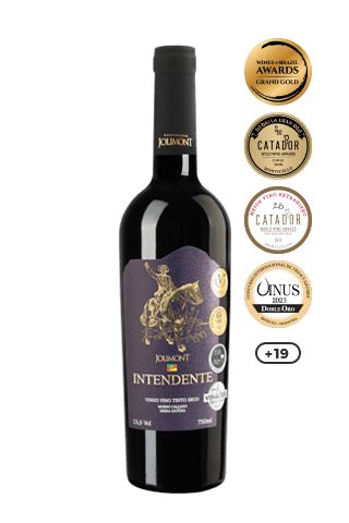 Vinho Tinto Seco Intendente Jolimont - VINHO TINTO INTENDENTE 750ML